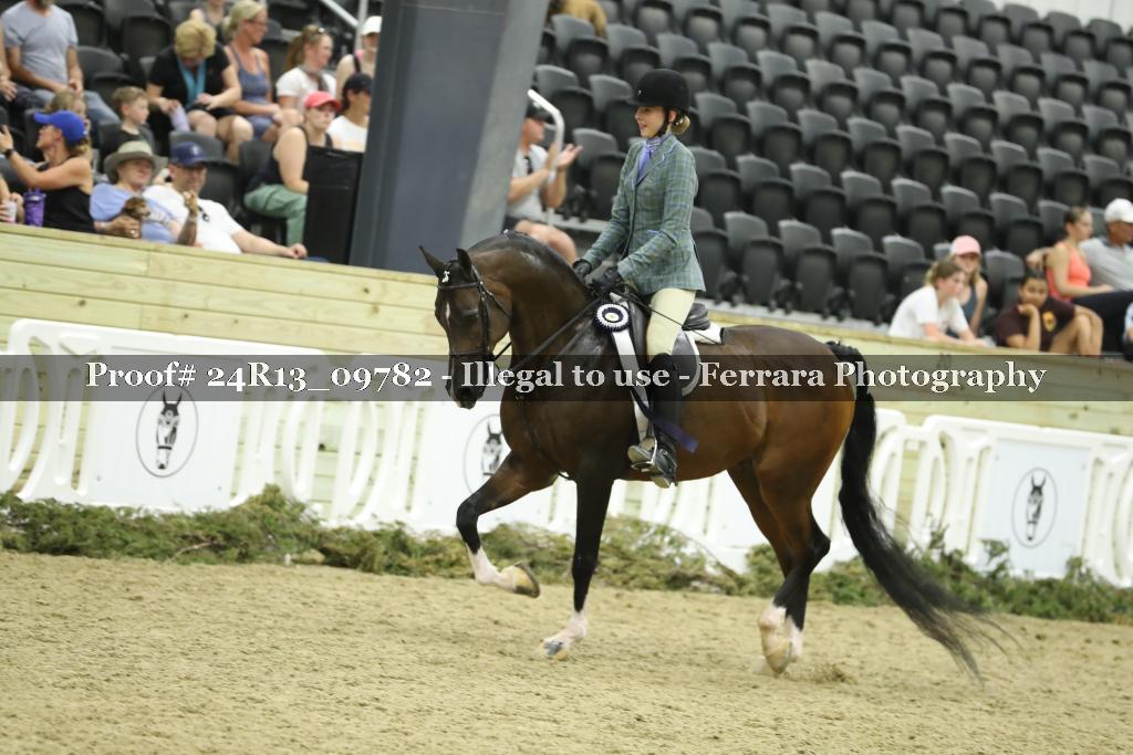 Proof 24R13_09782