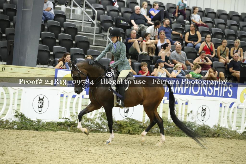 Proof 24R13_09784