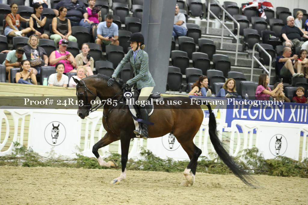 Proof 24R13_09785