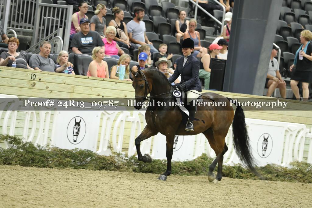 Proof 24R13_09787