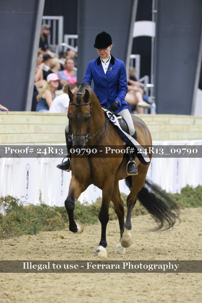 Proof 24R13_09790