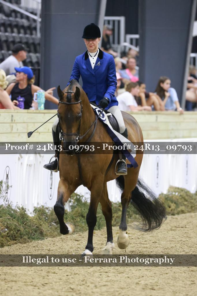 Proof 24R13_09793