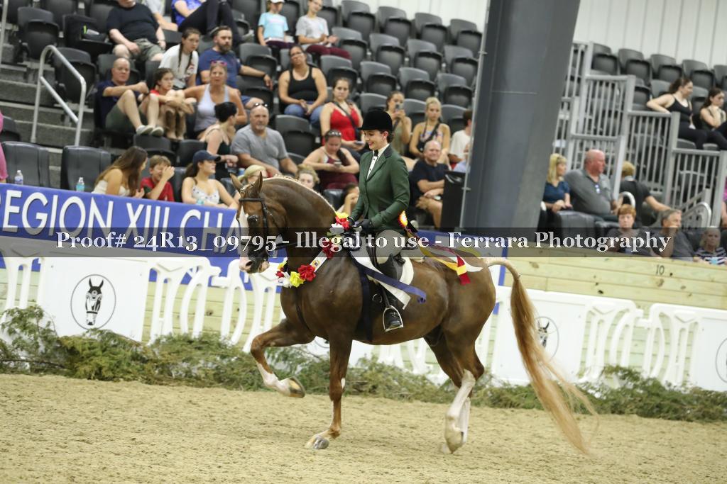 Proof 24R13_09795