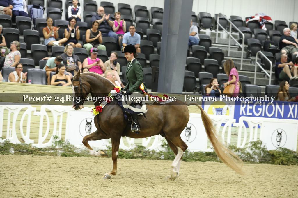 Proof 24R13_09796