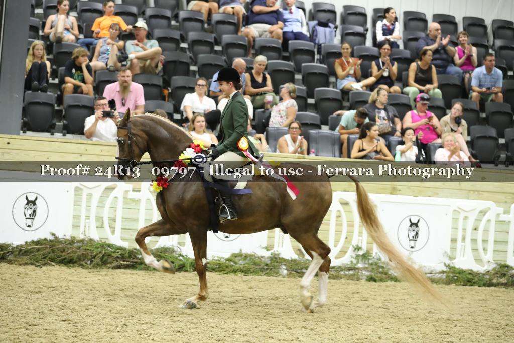Proof 24R13_09797