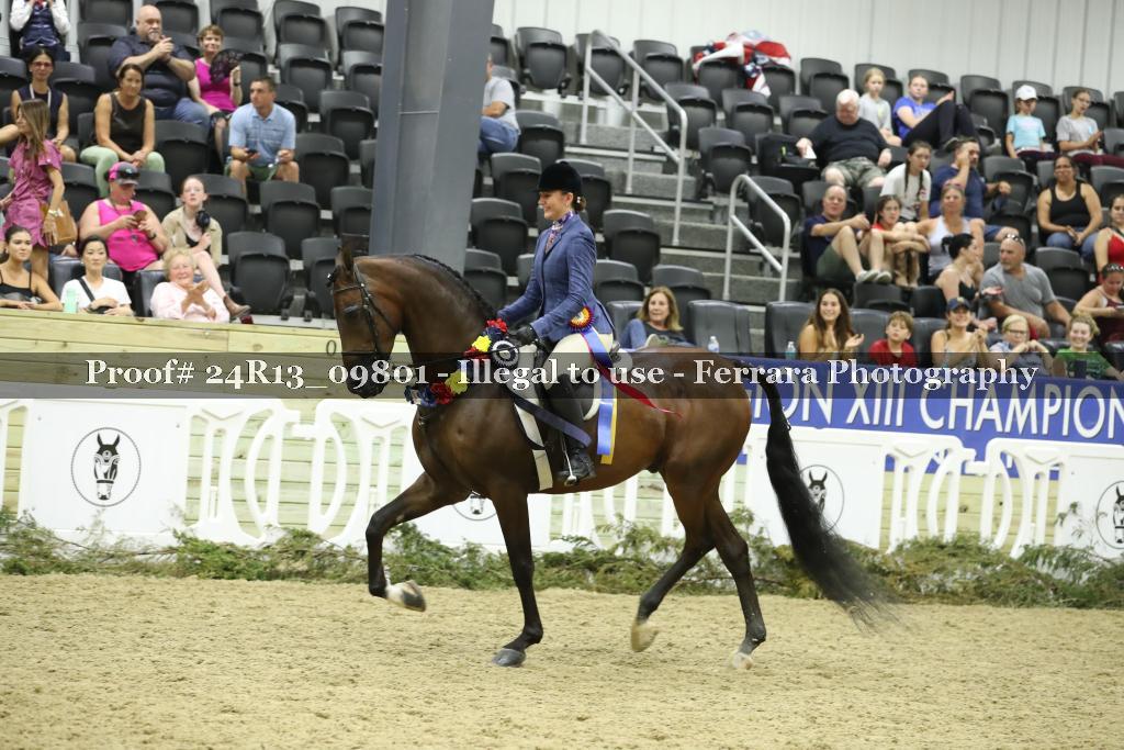Proof 24R13_09801