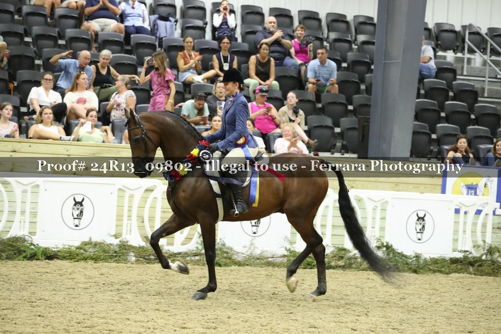 Proof 24R13_09802