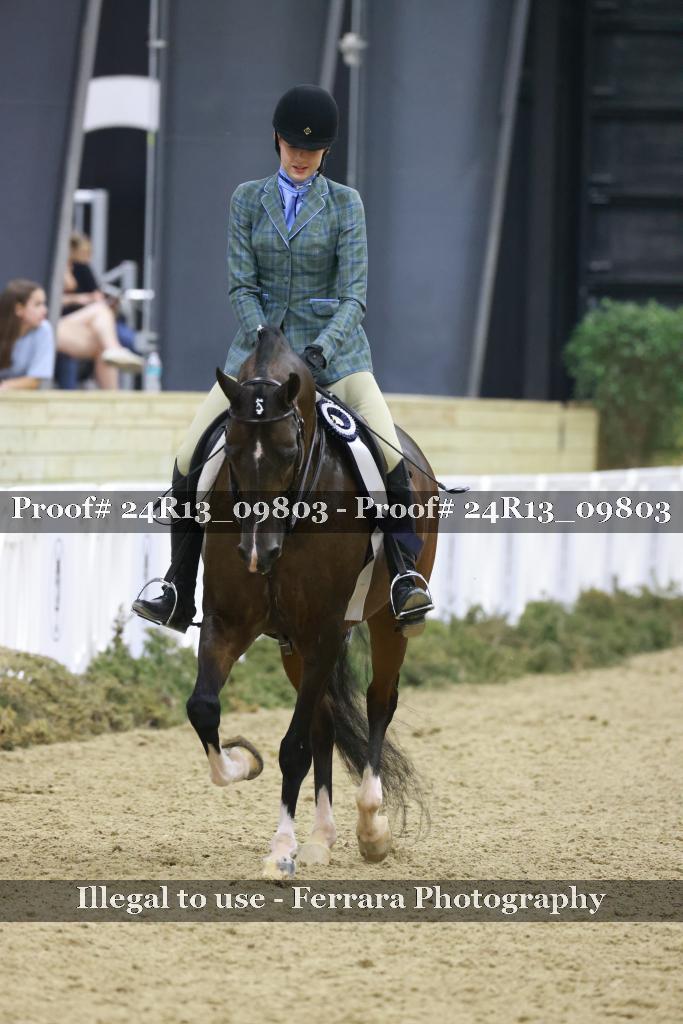 Proof 24R13_09803