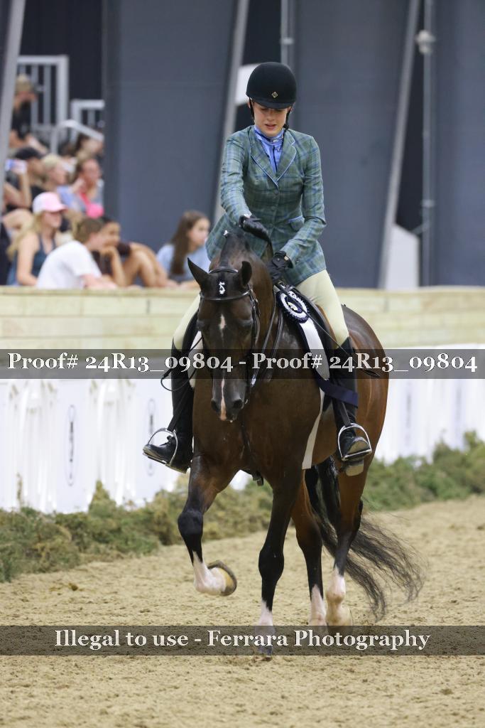 Proof 24R13_09804
