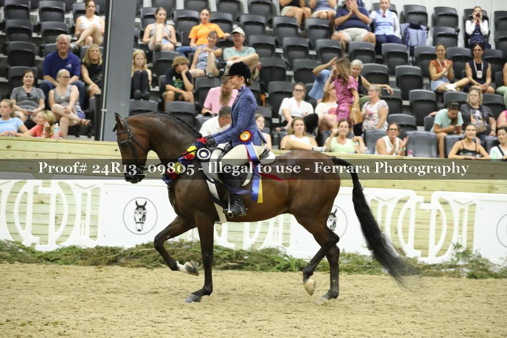Proof 24R13_09805