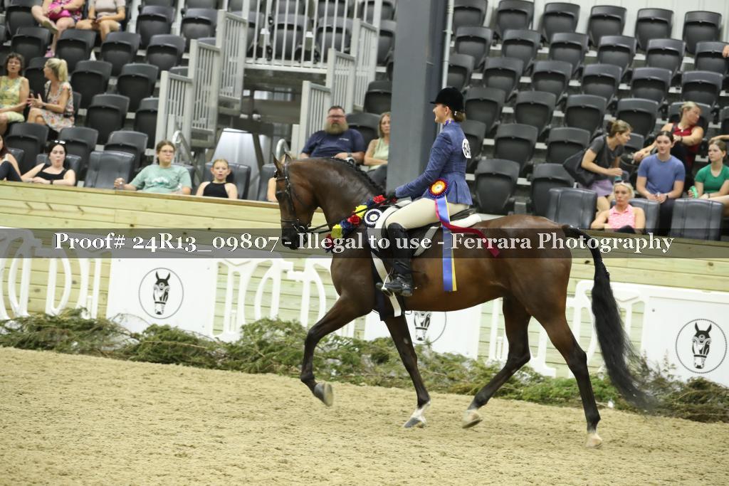 Proof 24R13_09807