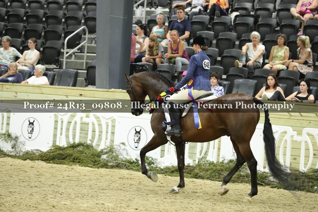 Proof 24R13_09808