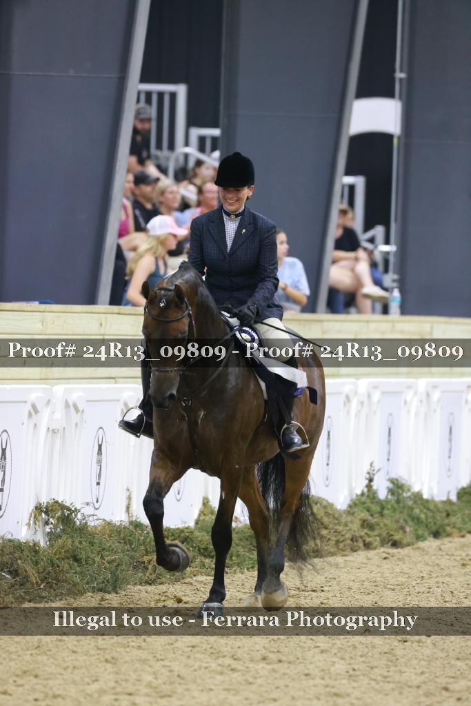 Proof 24R13_09809