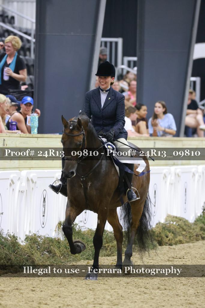 Proof 24R13_09810