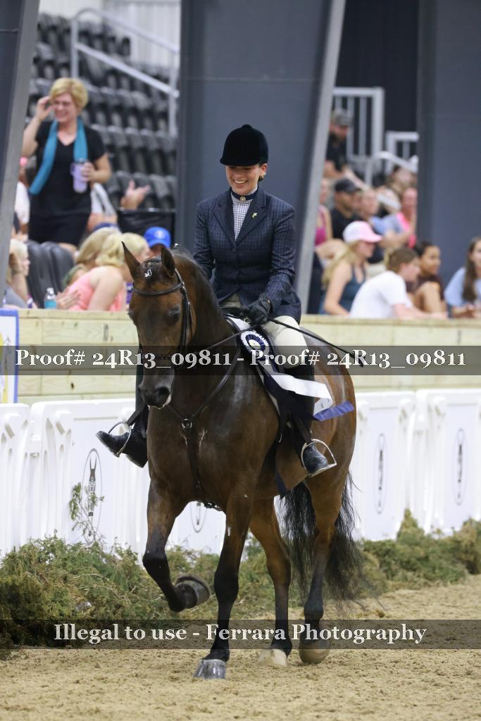 Proof 24R13_09811