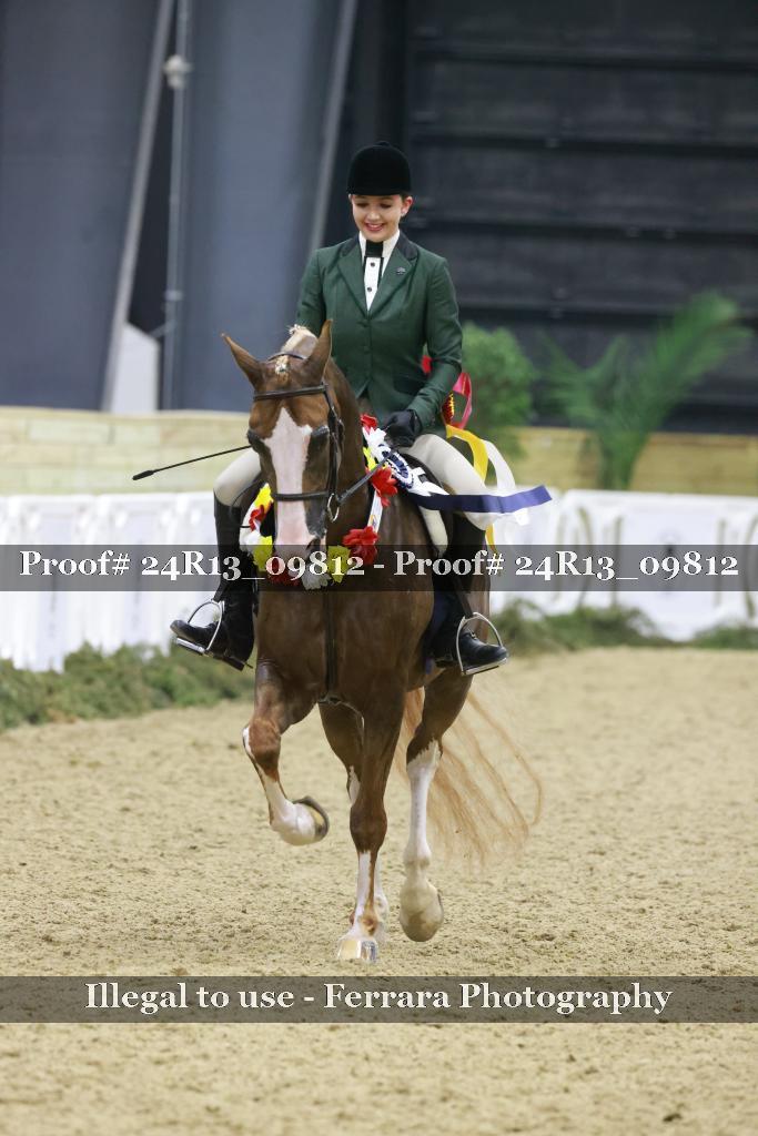 Proof 24R13_09812