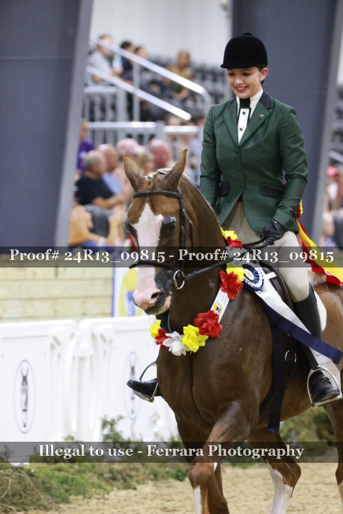 Proof 24R13_09815
