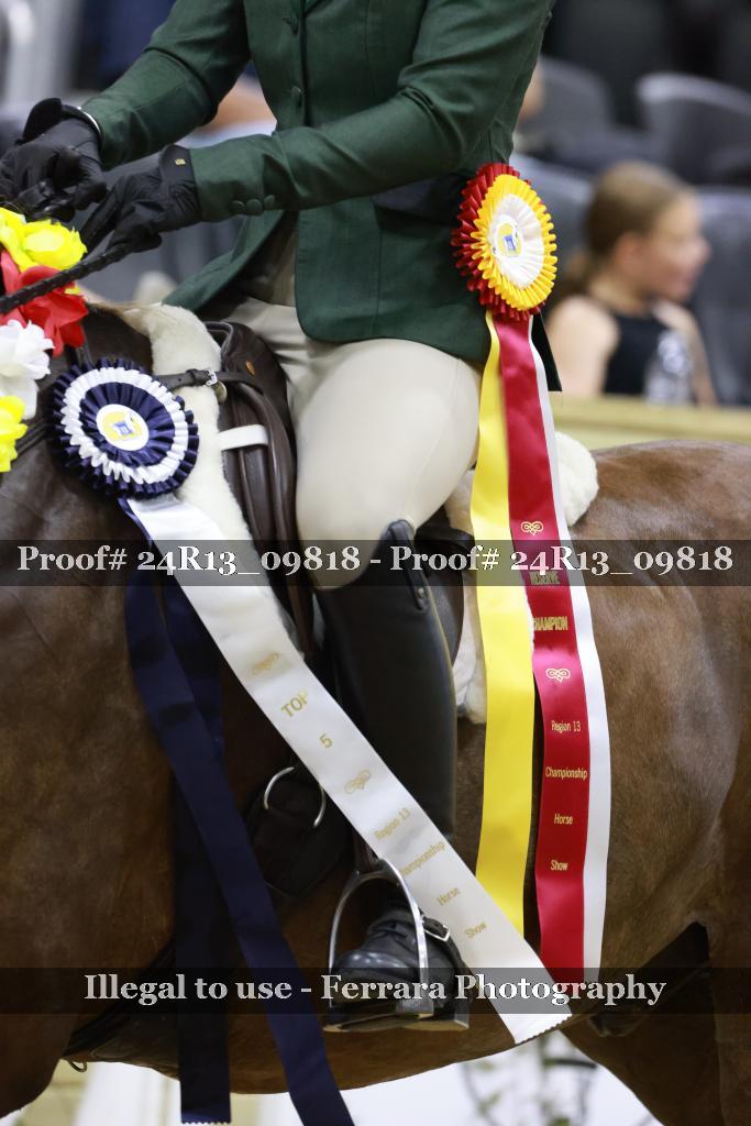 Proof 24R13_09818