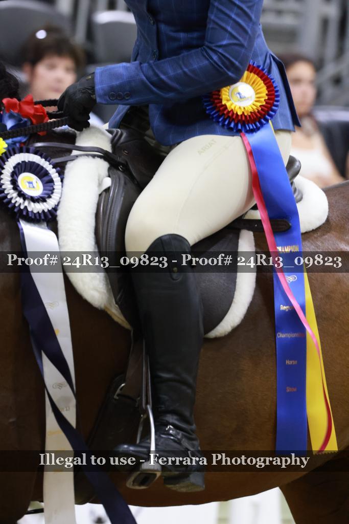 Proof 24R13_09823