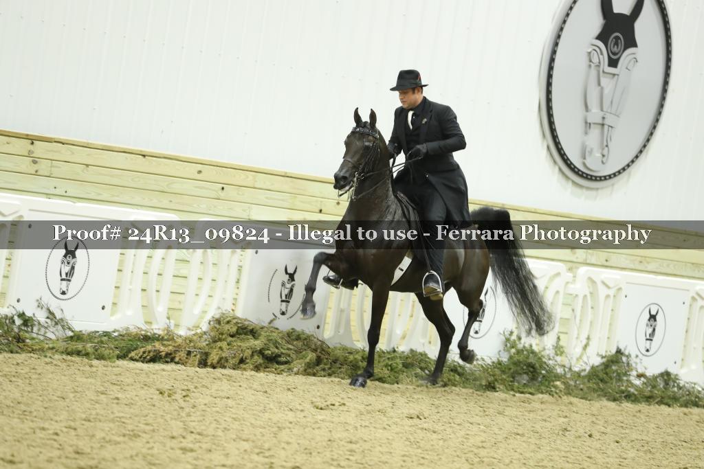 Proof 24R13_09824