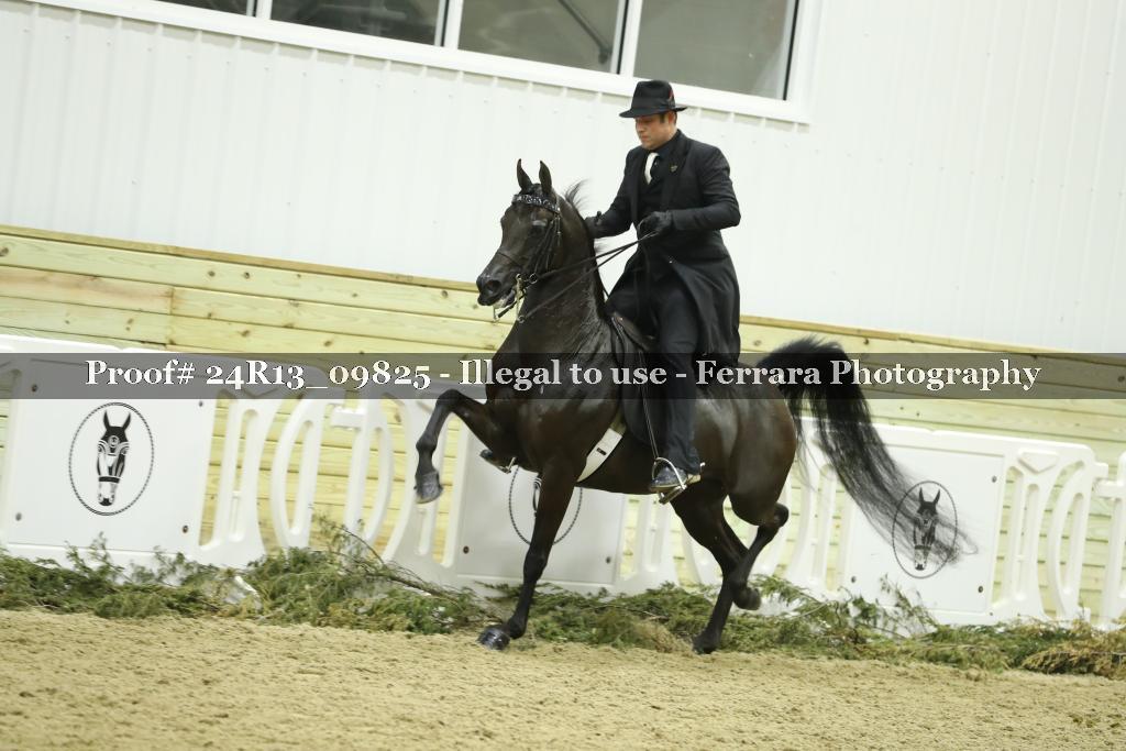 Proof 24R13_09825