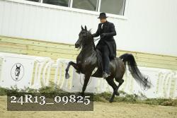 24R13_09825 proof