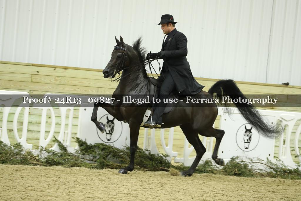 Proof 24R13_09827