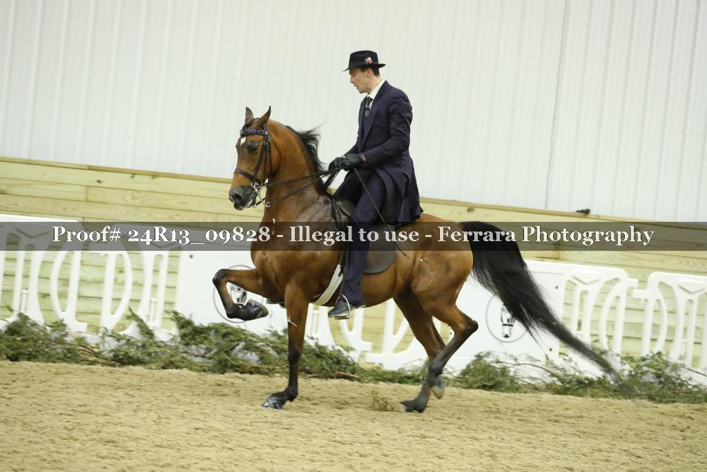 Proof 24R13_09828
