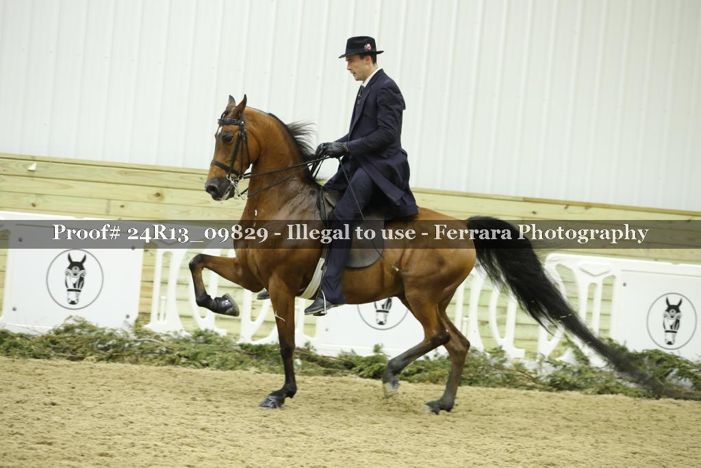 Proof 24R13_09829