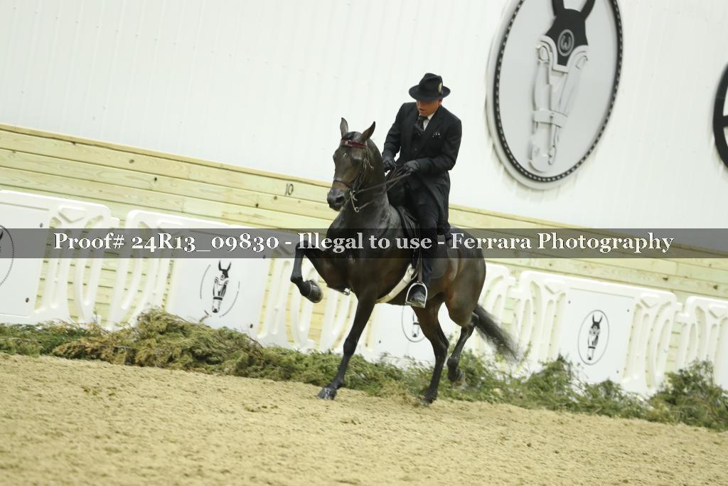 Proof 24R13_09830
