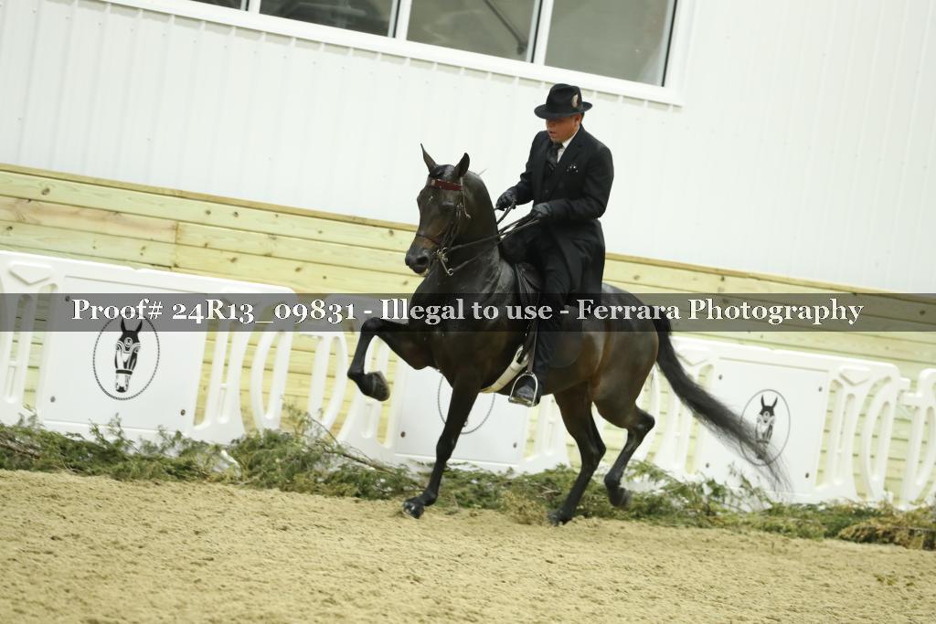 Proof 24R13_09831