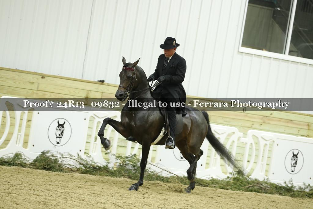 Proof 24R13_09832