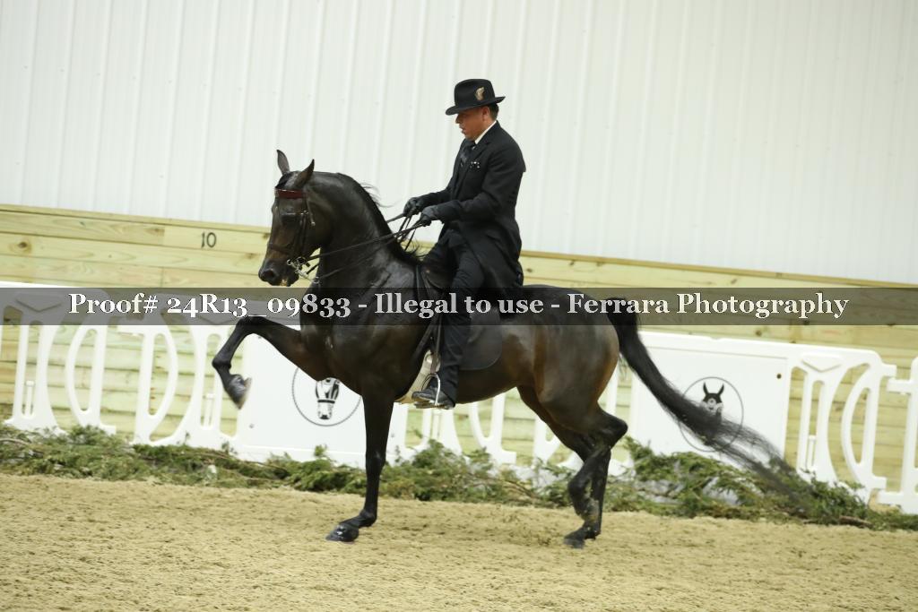 Proof 24R13_09833