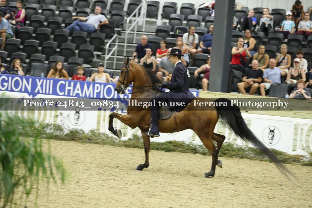 Proof 24R13_09834