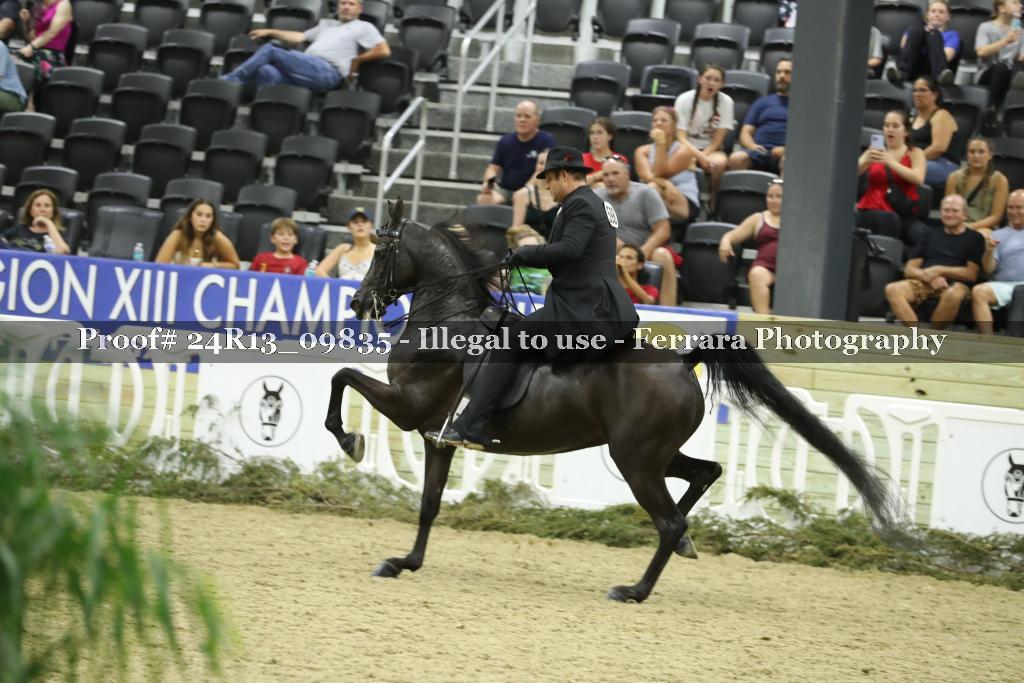 Proof 24R13_09835