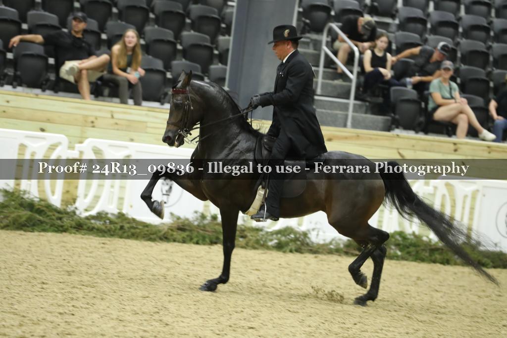 Proof 24R13_09836