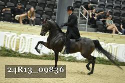 24R13_09836 proof