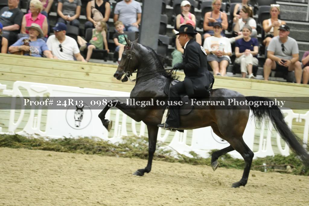Proof 24R13_09837