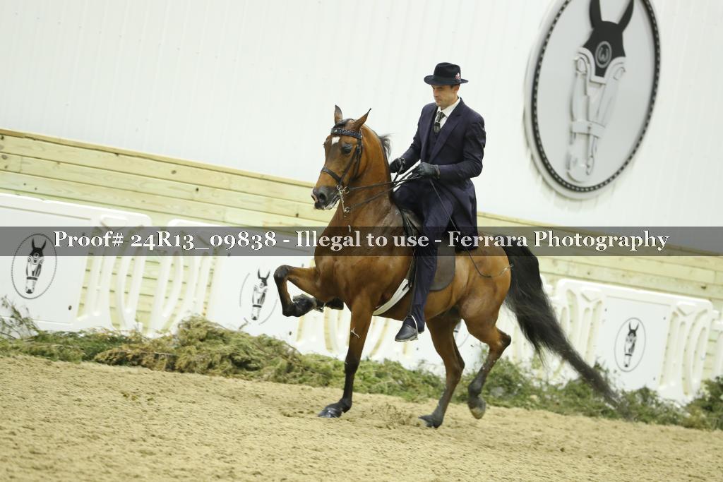 Proof 24R13_09838