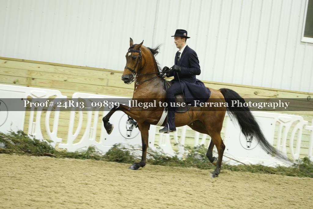 Proof 24R13_09839