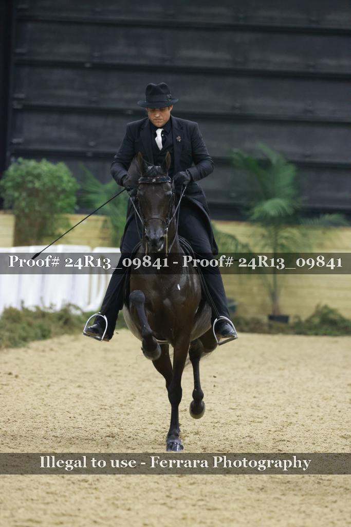 Proof 24R13_09841