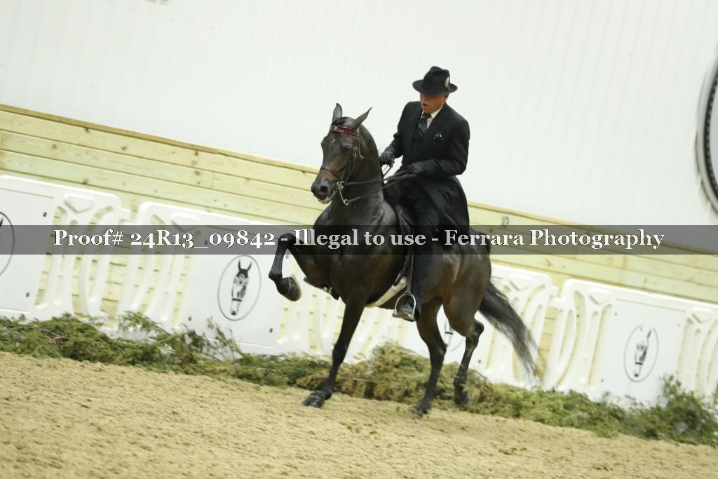 Proof 24R13_09842