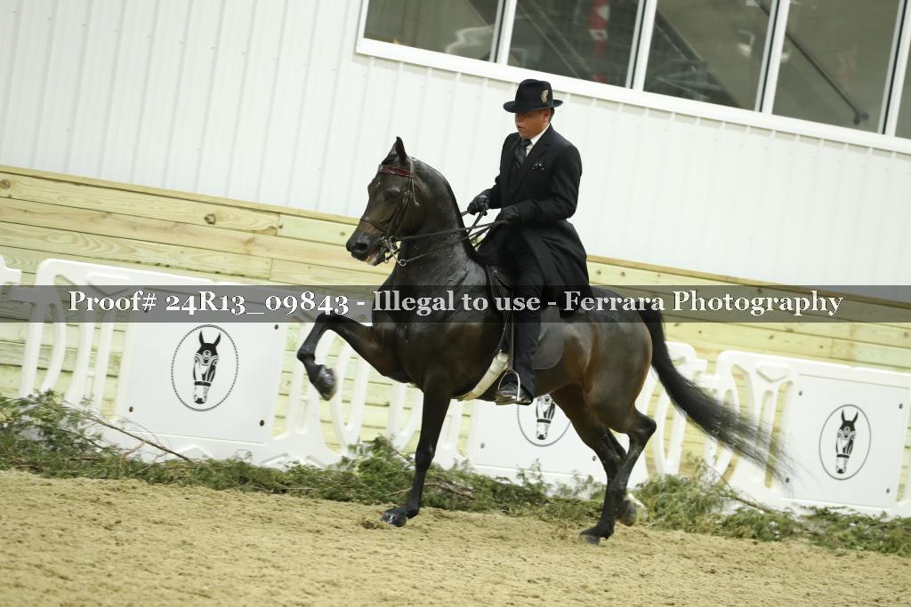 Proof 24R13_09843