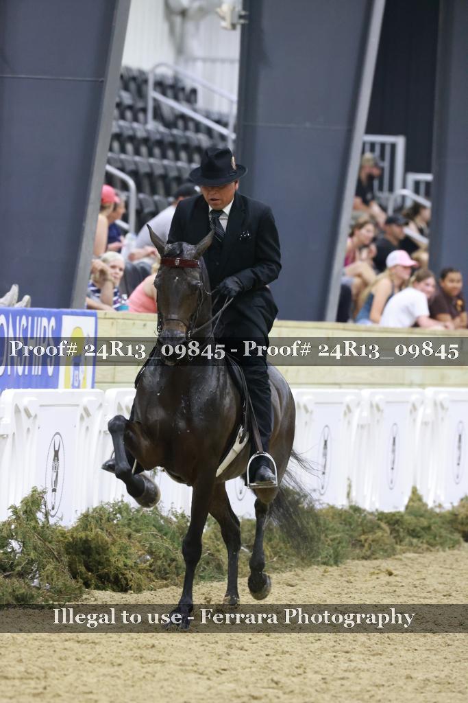 Proof 24R13_09845