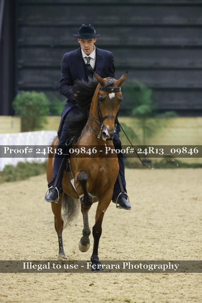 Proof 24R13_09846