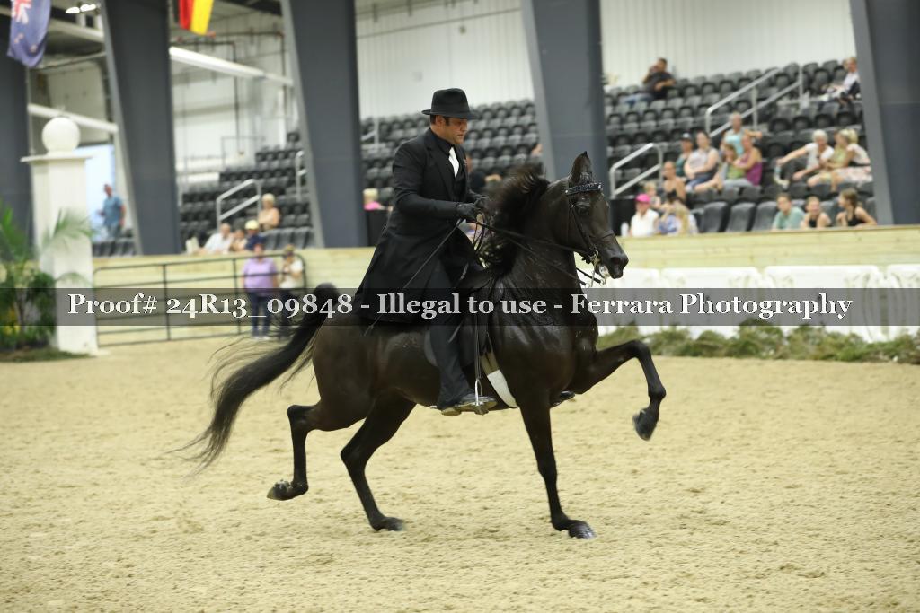 Proof 24R13_09848