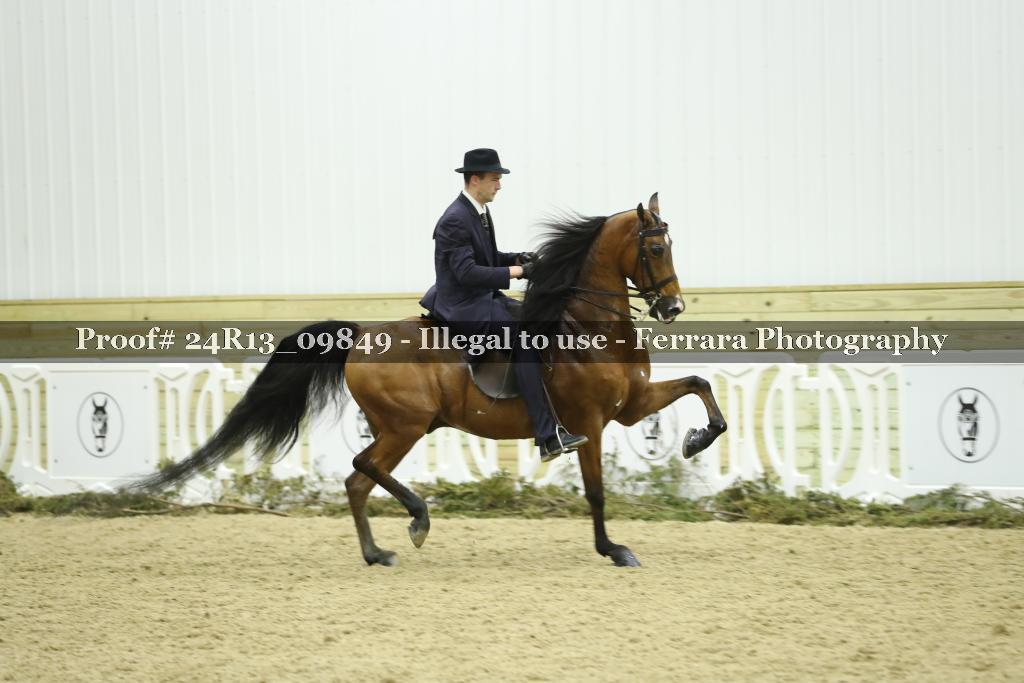 Proof 24R13_09849