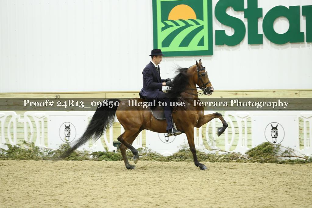 Proof 24R13_09850