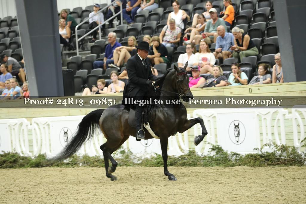 Proof 24R13_09851