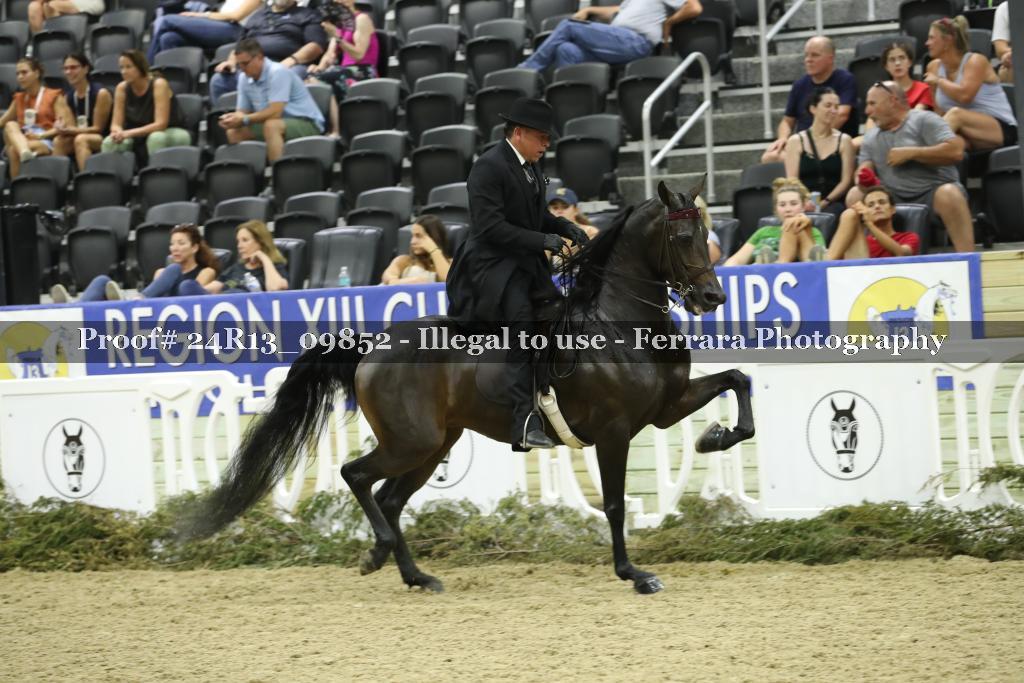 Proof 24R13_09852